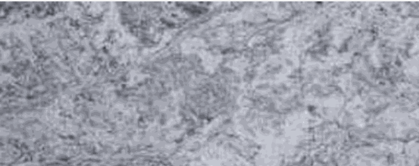 Outdoor Kitchen Deluxe Island with granite countertop and three burner grill